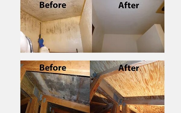 Before And After Mold Remediation in Paintsville, KY (1)